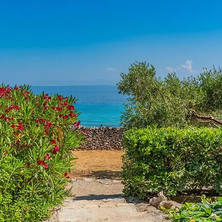 Awesome In With Wifi * Smokvica (Korcula)