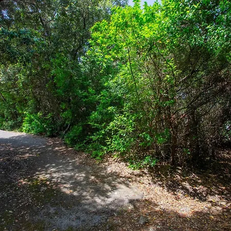 Awesome In With Wifi *